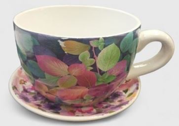 Cup & Saucer Planter