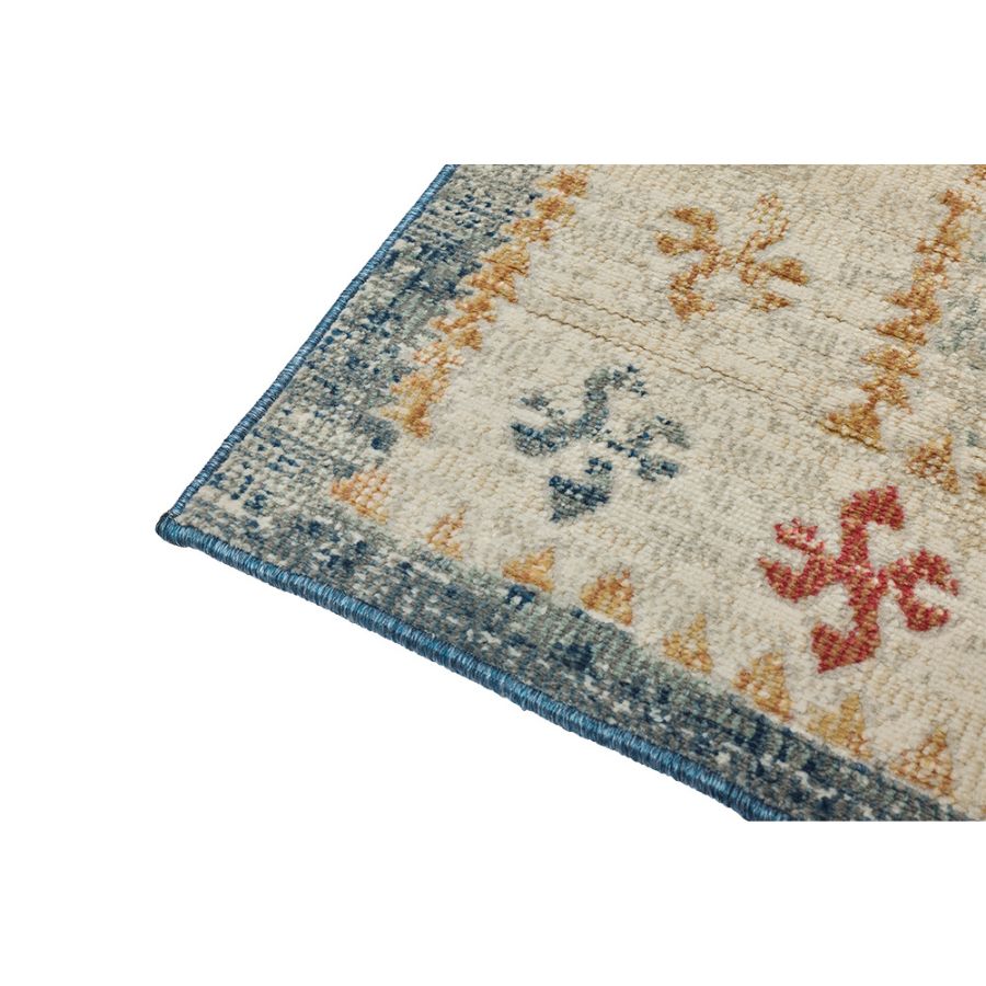 Chetak Multicolour Distressed Rug