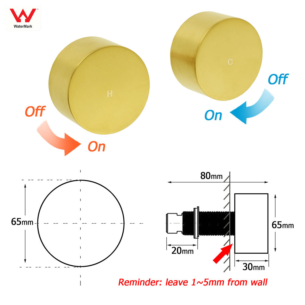 WELS Brushed Gold Dual Shower Set Large Round 12" Rain Head Handheld Silde Wall Rail Arm Taps