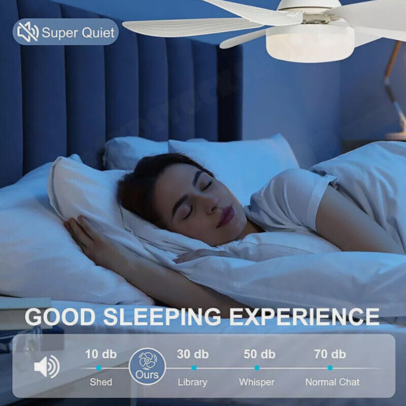 16.5 Ceiling Fan with LED Light 3-Speed Remote Control