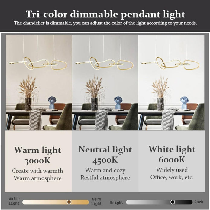 BAMDECOR A24126 Nordic Minimalist LED Pendant Light Adjustable Modern Ring Chandelier for Dining Room and Bar (Black) 1.8 Meters