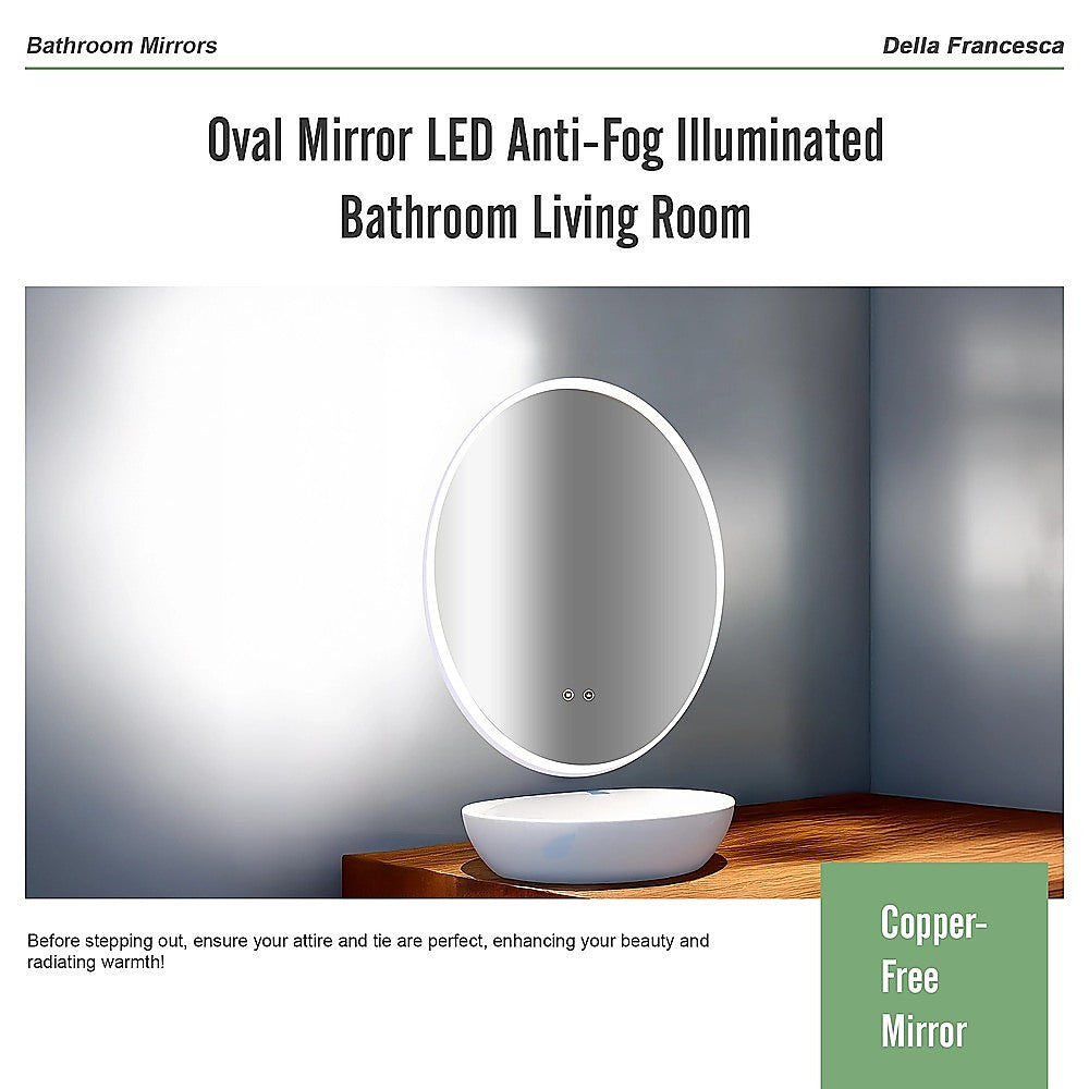 Oval Mirror LED Anti-Fog Illuminated Bathroom Living Room