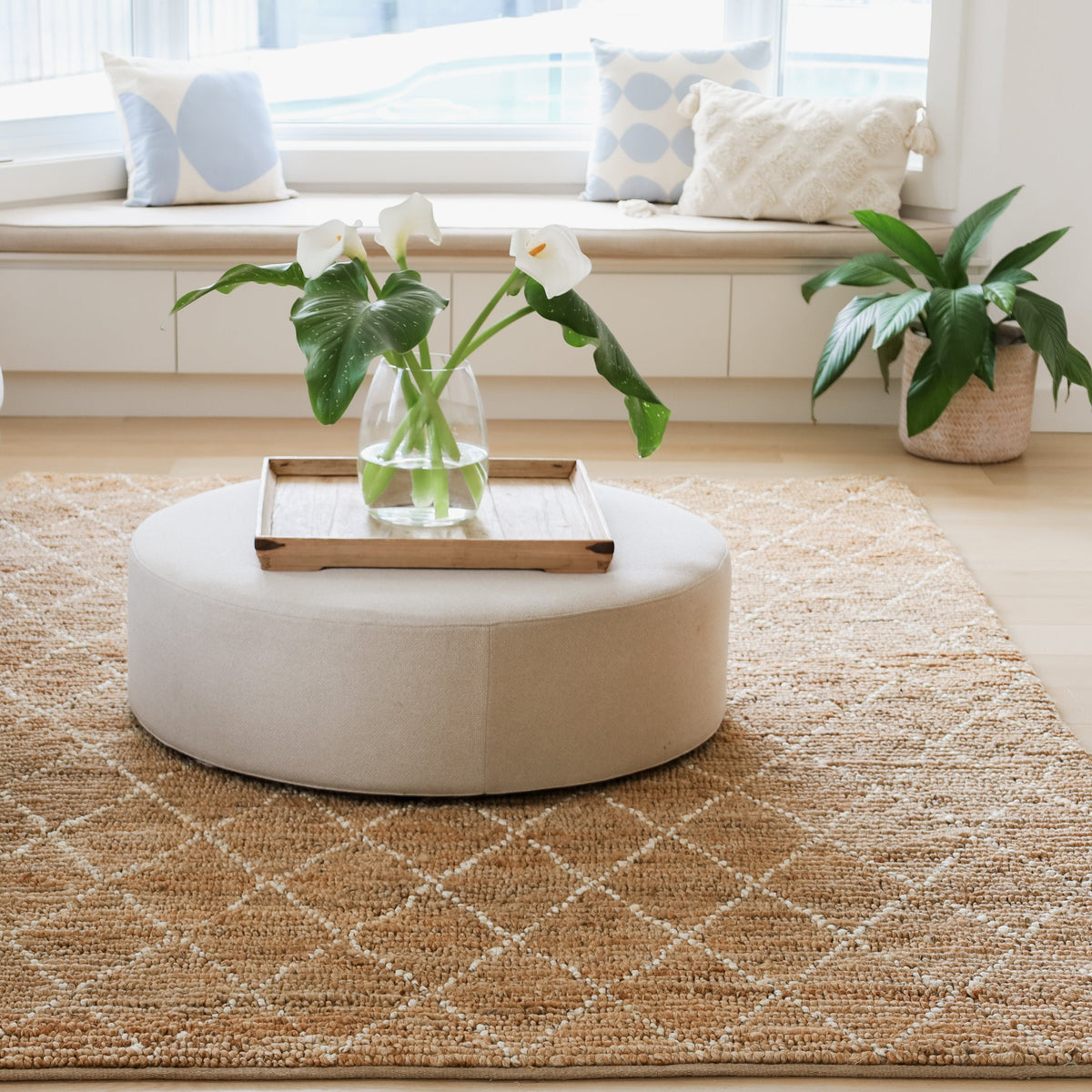 Anant White and Natural Diamond Jute Rug